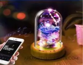 Dreamer Glass Dome Speaker