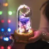 Dreamer Glass Dome Speaker