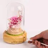 Dreamer Glass Dome Speaker