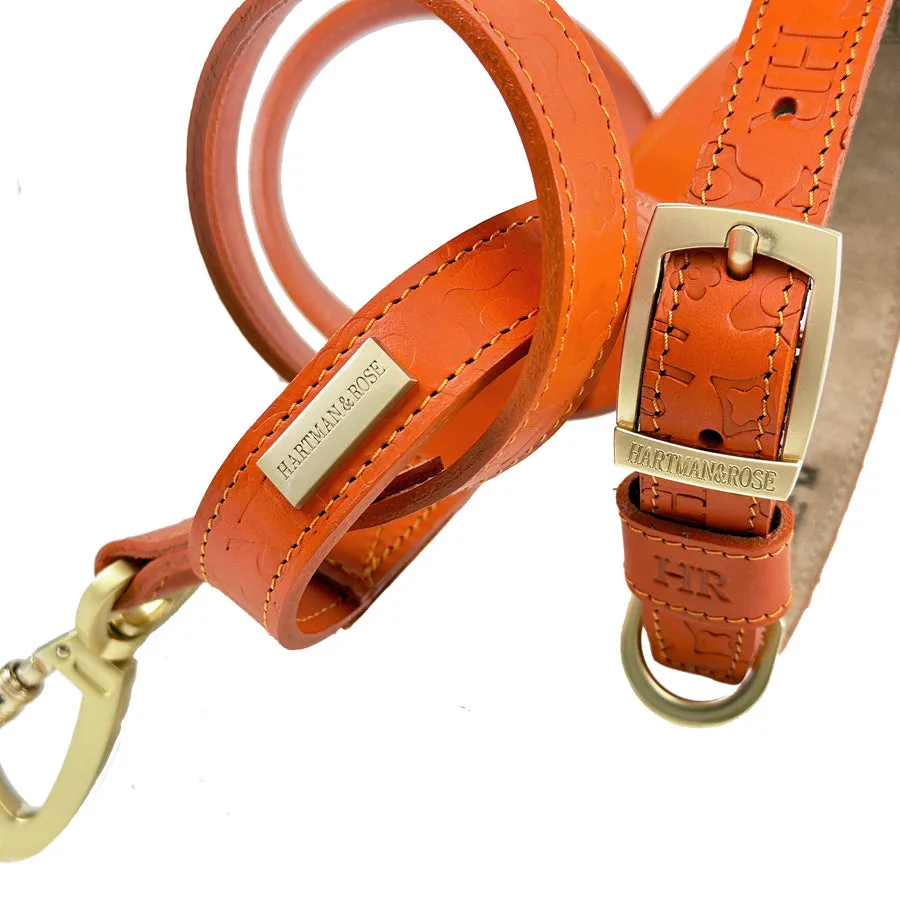 H&R Embossed Dog Collar in Tangerine