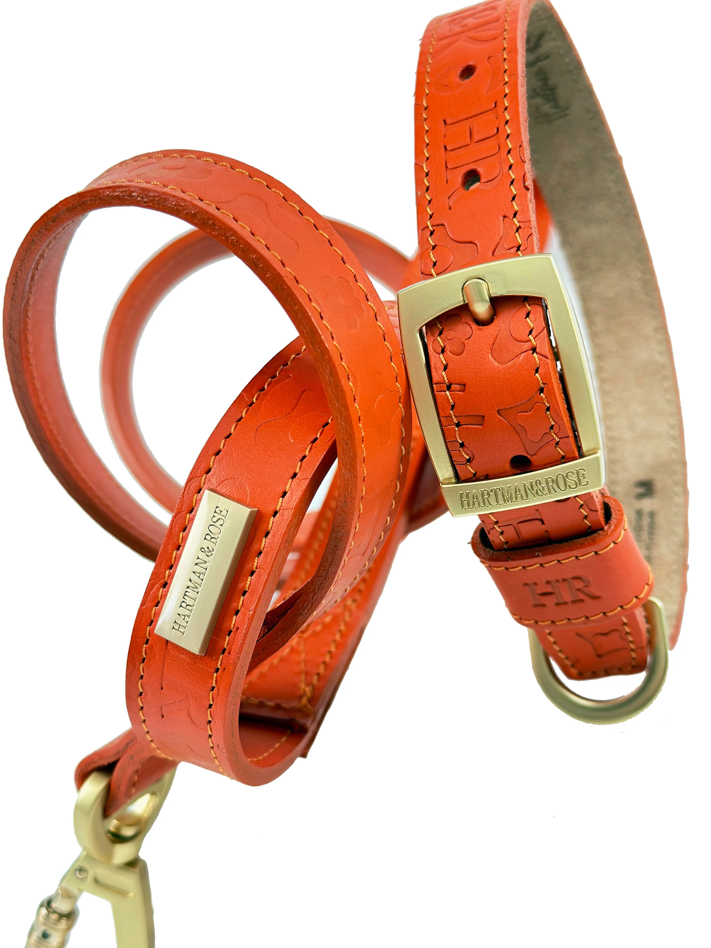 H&R Embossed Dog Collar in Tangerine