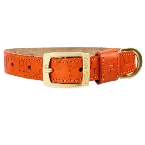 H&R Embossed Dog Collar in Tangerine